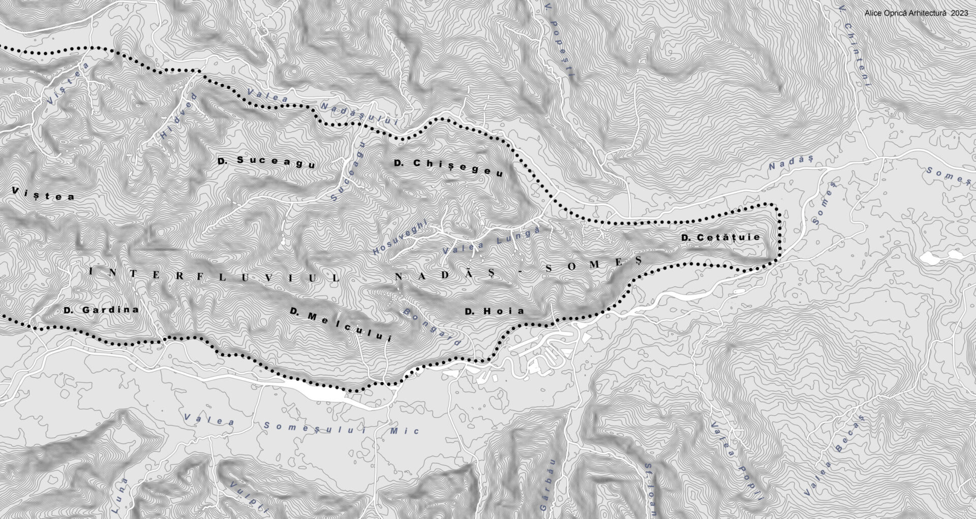 SMAS I. topography